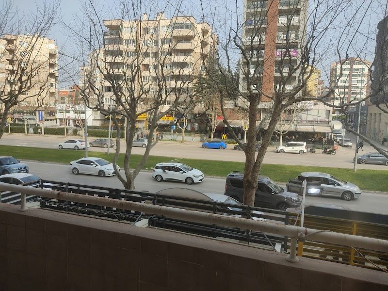 Dr. Oğuz Basut