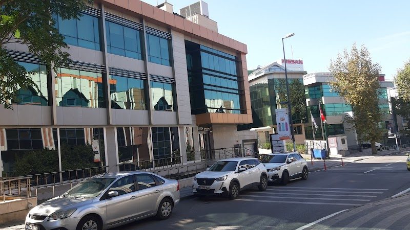 Dt. Anadolu Yakası - Estetik