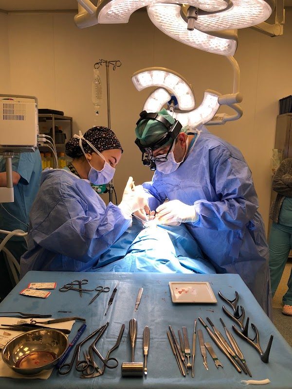 Dr. Seyhan Alkan - Estetik