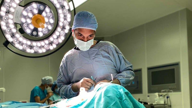 Dr. Gediz Serin